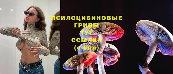 ECSTASY Заволжск
