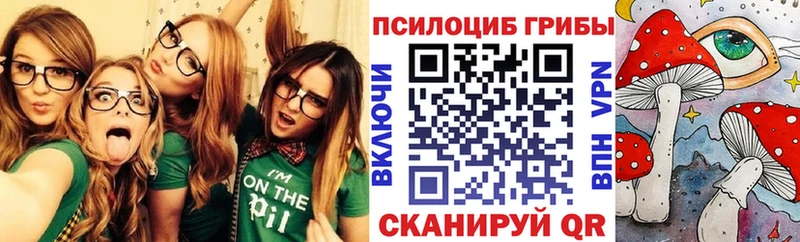 Галлюциногенные грибы Psilocybine cubensis  купить наркотик  Протвино 