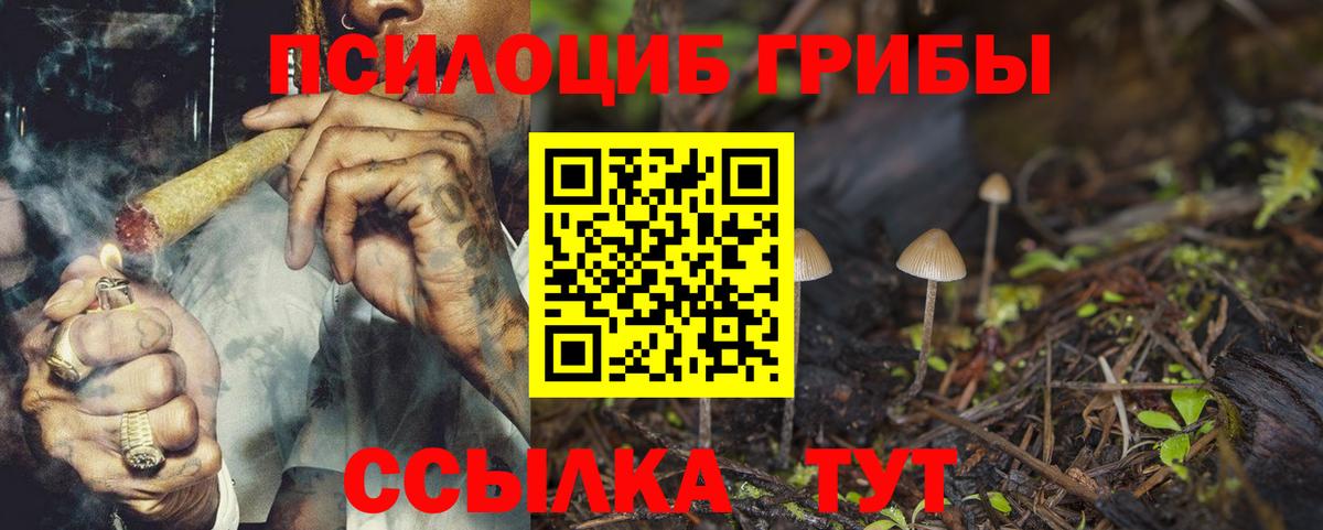 Протвино  Галлюциногенные грибы прущие грибы  Вход с VPN 